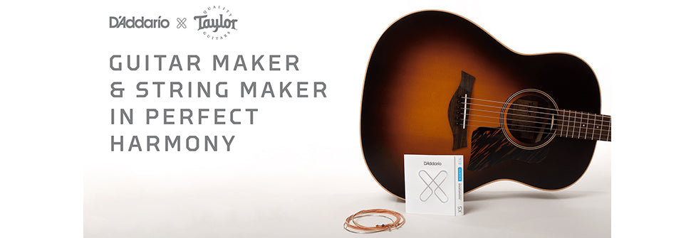 Taylor Announces Transition to D'Addario XS Coated Strings