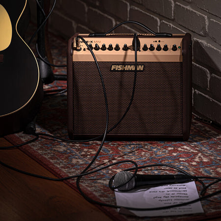 Acoustic Guitar Amps Australia