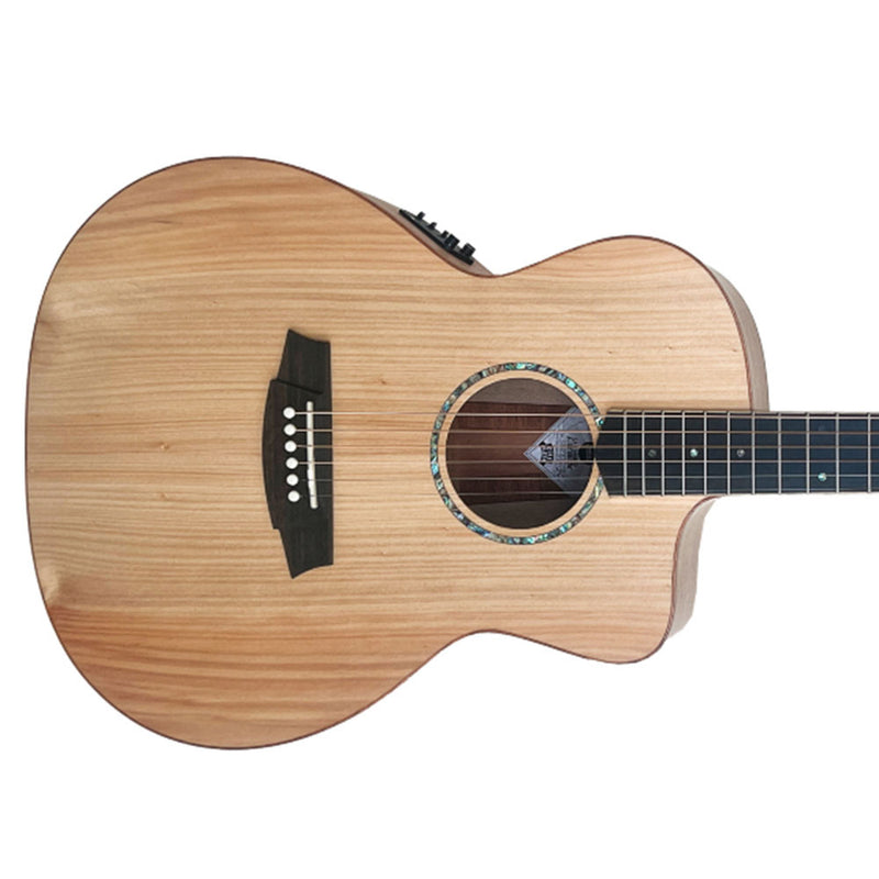 COLE CLARK Angel Studio Bunya Maple