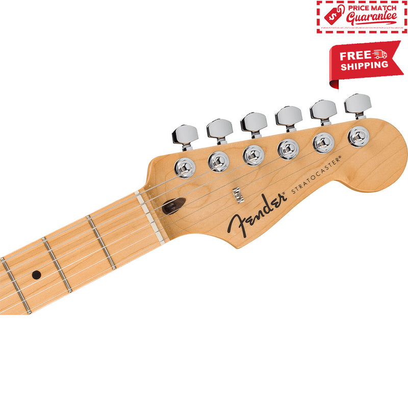 FENDER Standard Stratocaster - Olympic White