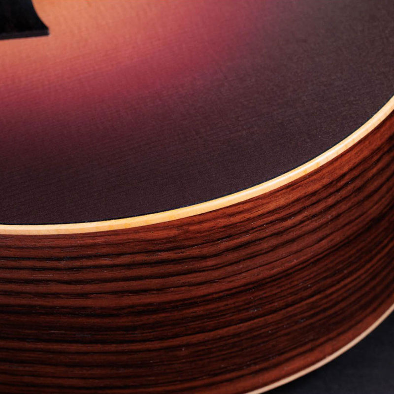 TAYLOR GS Mini-e Rosewood SB LTD - 50th Anniversary