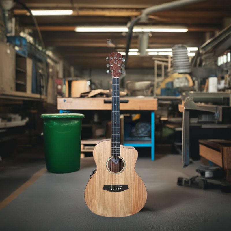 COLE CLARK Angel Studio Bunya Maple